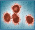 Коронавірусні інфекції: загроза людству з Близького Сходу спричинена MERS-CoV?