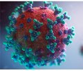 Діагностична значимість виявлення нейтралізуючих антитіл до SARS-CoV-2