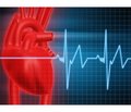 Clinical and immunological aspects of pharmacological cardioversion in patients with cognitive dysfunction in the background atrial fibrillation
