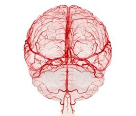 Связь летальности пациентов при остром нарушении мозгового кровотока с лабораторно-функциональными показателями