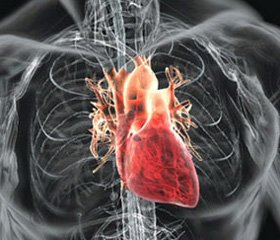 Клінічний випадок саркоми серця