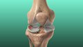 Фахова школа для ортопедів-травматологів «Травма та її наслідки. Практично-орієнтований навчальний курс. Частина ІІ. Ушкодження в ділянці колінного суглоба»